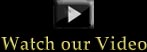 Equestrian Video